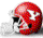 YOUNGSTOWN STATE HOME