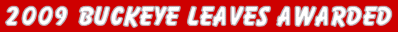 2007 Buckeye Leaves Awarded